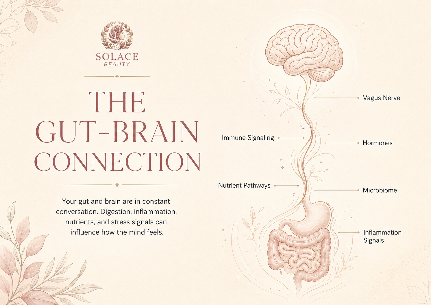 The Gut-Brain Connection infographic