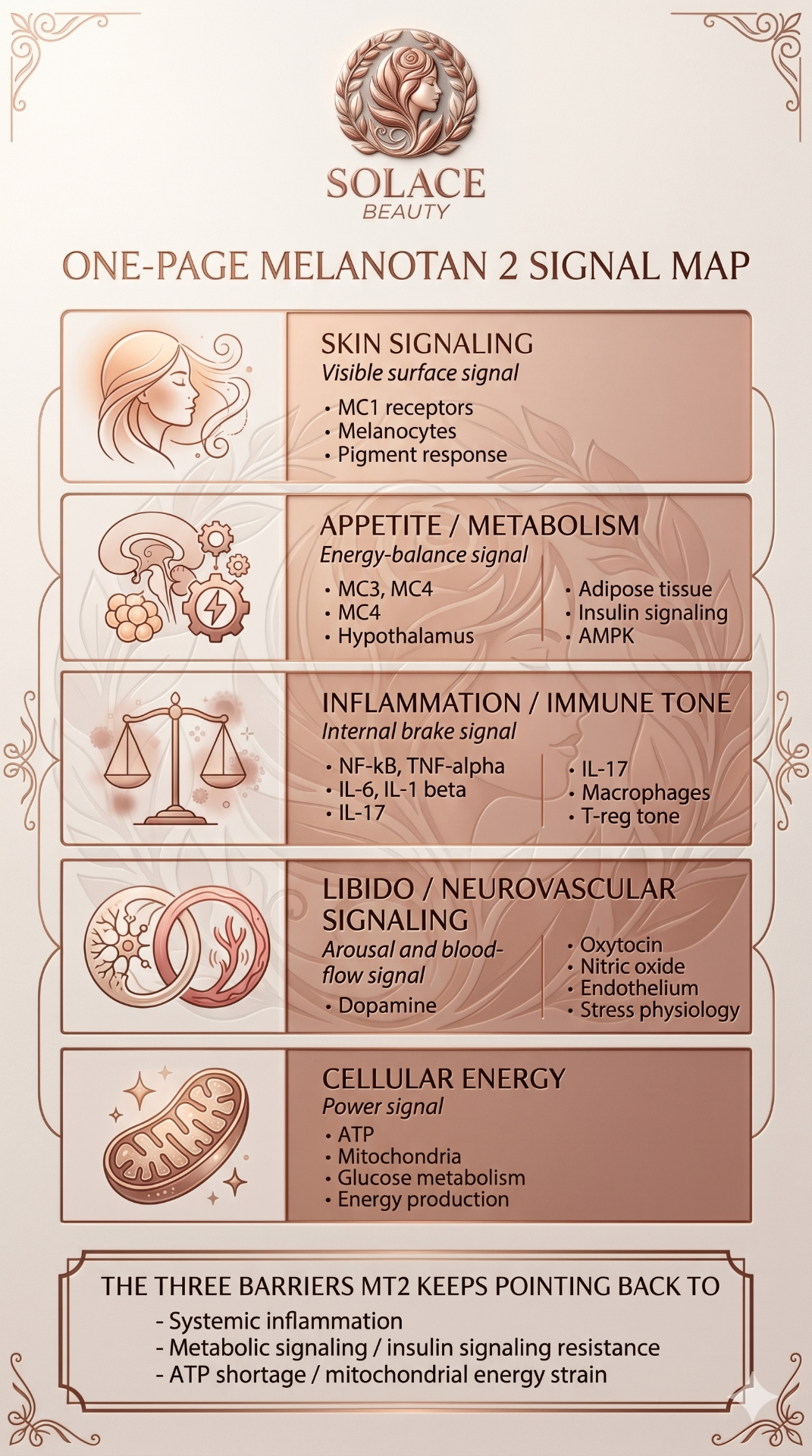 One-page Melanotan 2 signal map showing skin, appetite/metabolism, inflammation/immune tone, libido/neurovascular, and cellular energy layers.